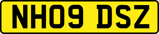 NH09DSZ