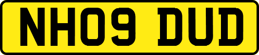 NH09DUD