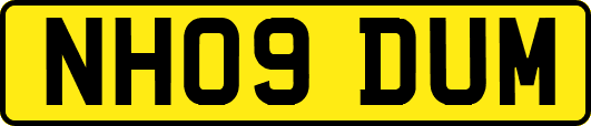 NH09DUM