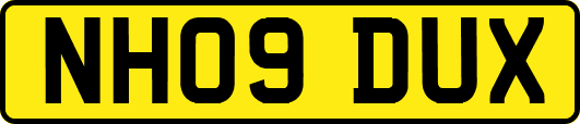 NH09DUX