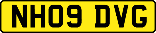 NH09DVG
