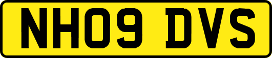 NH09DVS