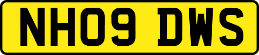 NH09DWS