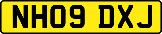 NH09DXJ