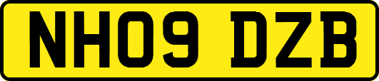 NH09DZB