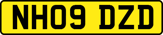 NH09DZD