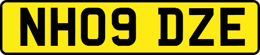 NH09DZE