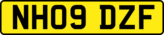 NH09DZF