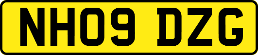 NH09DZG