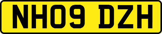 NH09DZH