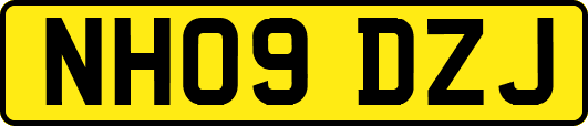 NH09DZJ