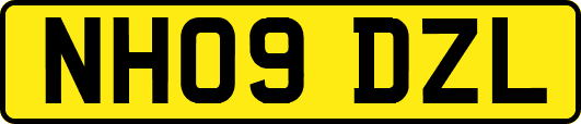 NH09DZL