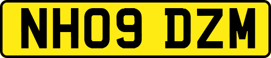 NH09DZM