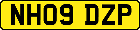 NH09DZP