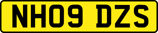NH09DZS