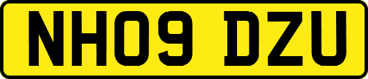 NH09DZU