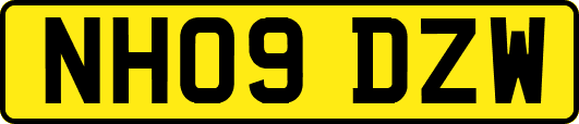 NH09DZW