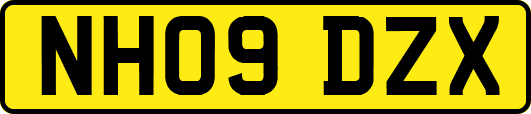 NH09DZX