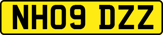 NH09DZZ