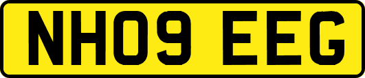 NH09EEG