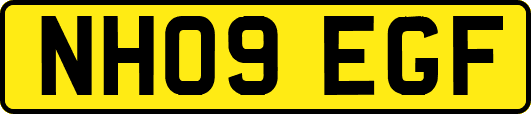 NH09EGF