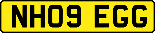 NH09EGG