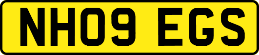 NH09EGS