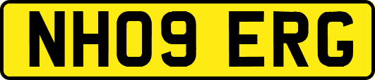 NH09ERG