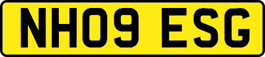 NH09ESG