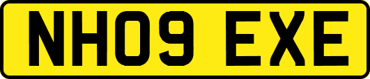NH09EXE