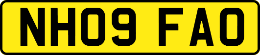 NH09FAO