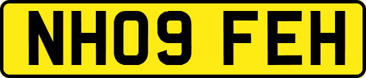 NH09FEH