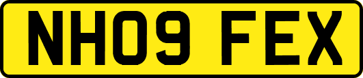 NH09FEX