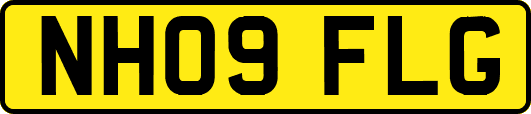 NH09FLG
