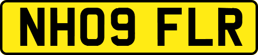 NH09FLR