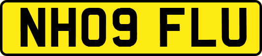 NH09FLU