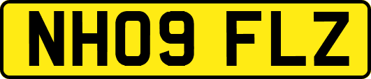 NH09FLZ