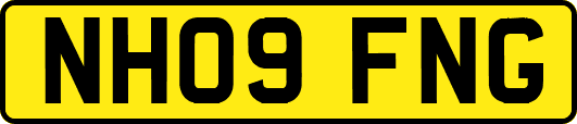 NH09FNG