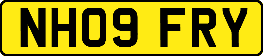 NH09FRY