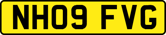 NH09FVG