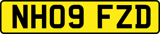 NH09FZD