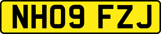 NH09FZJ