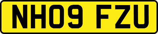 NH09FZU