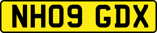 NH09GDX