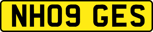 NH09GES