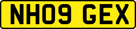 NH09GEX