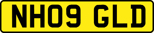 NH09GLD