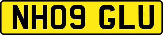NH09GLU