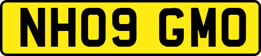 NH09GMO