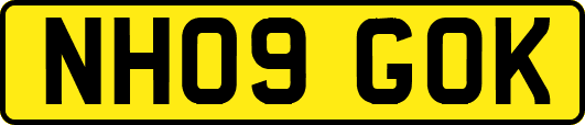 NH09GOK